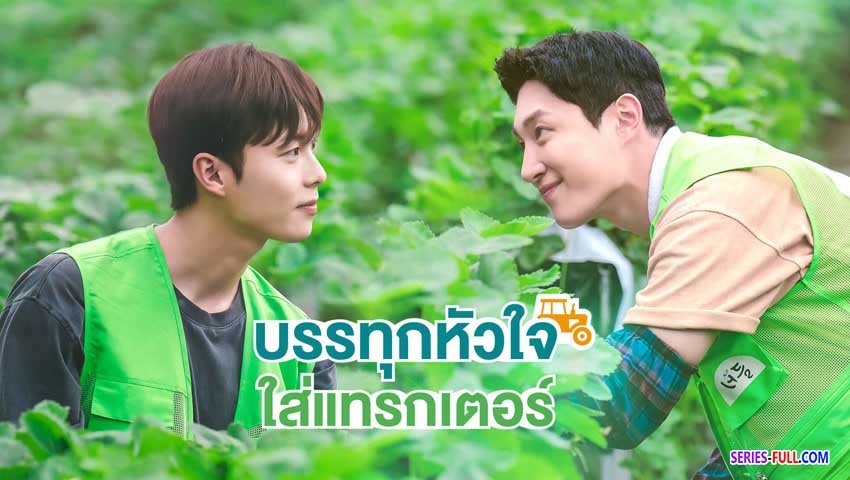 บรรทุกหัวใจใส่แทรกเตอร์