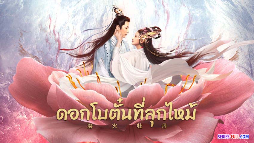 ดอกโบตั๋นที่ลุกไหม้