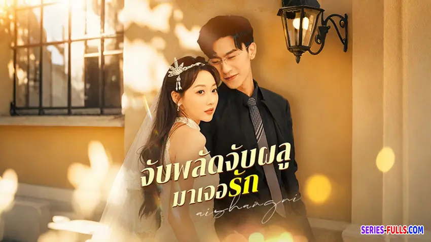 จับพลัดจับผลูมาเจอรัก