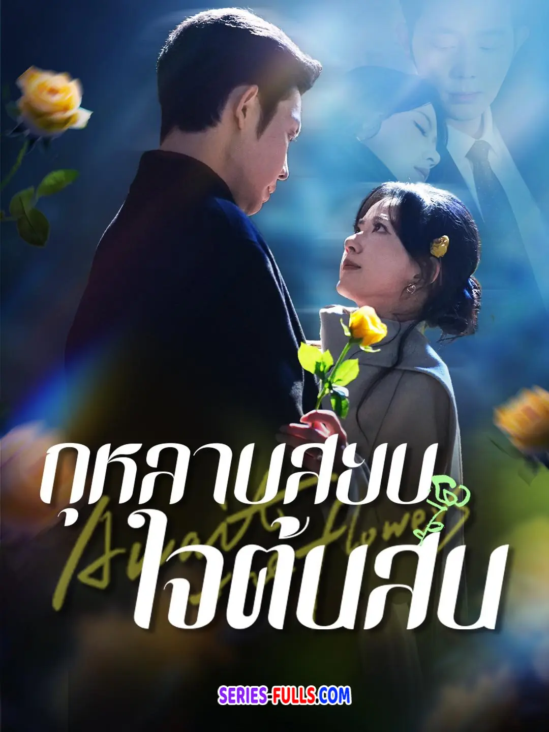 กุหลาบสยบใจต้นสน
