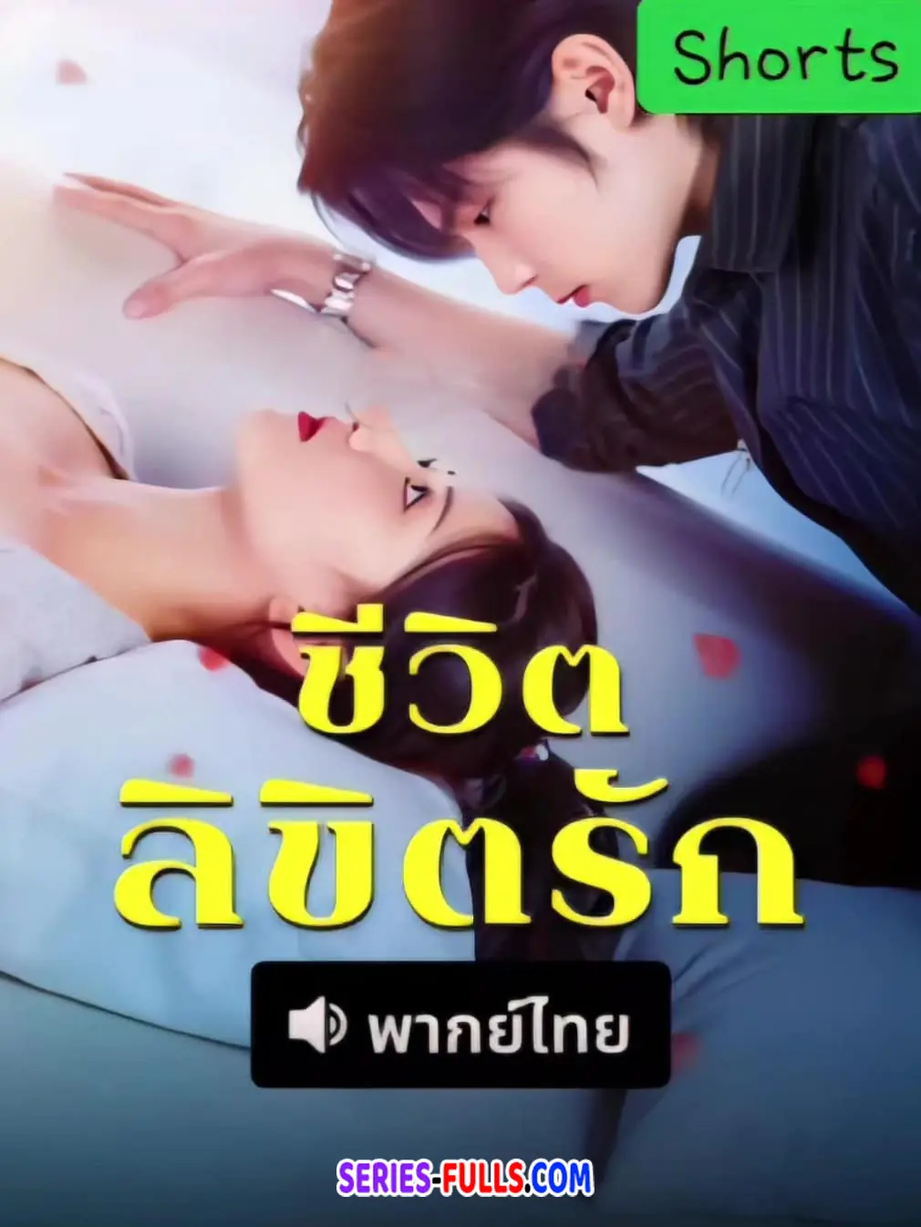 ชีวิตลิขิตรัก