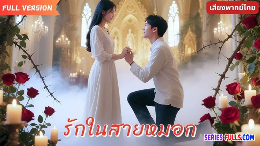 รักในสายหมอก