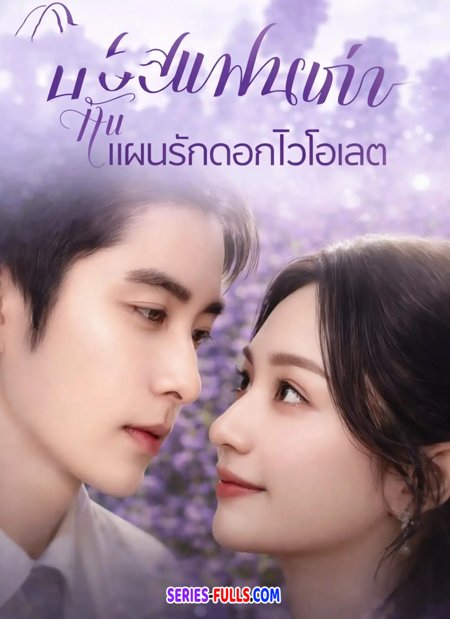 บอสแฟนเก่ากับแผนรักดอกไวโอเลต