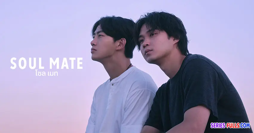 โซล เมท